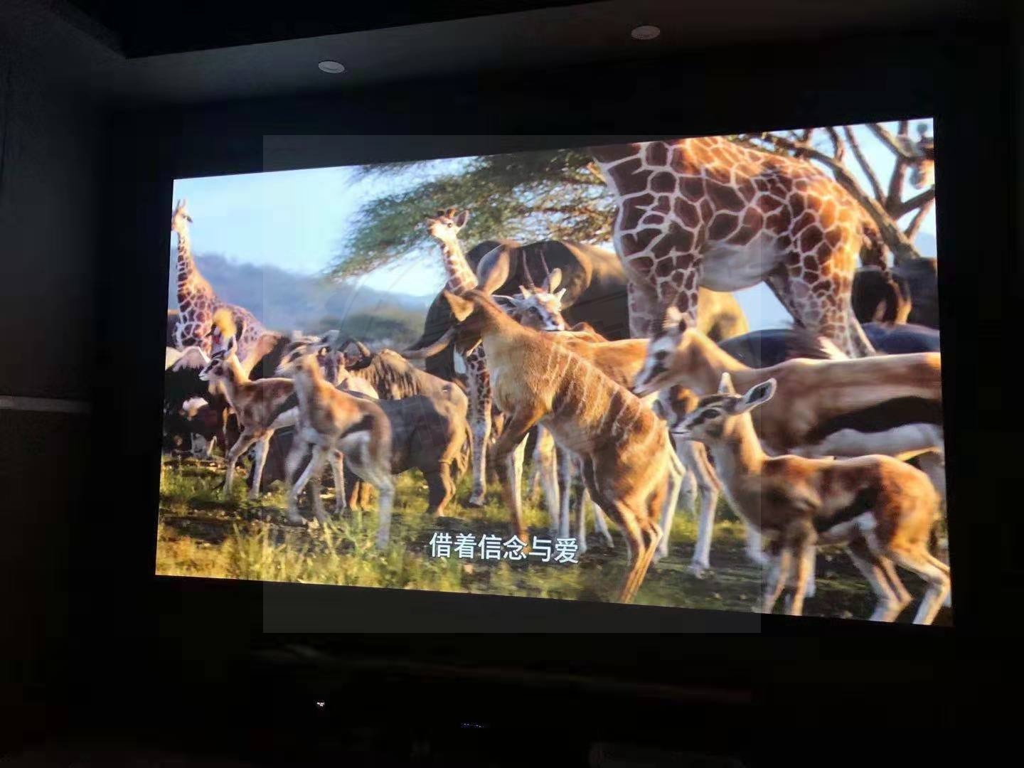 0d8d6b7f1b239b218abe4473ad54c76